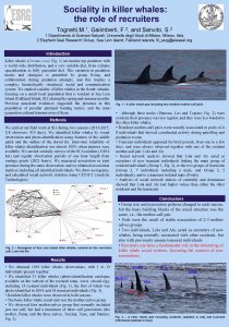 Sociality in killer whales the role of recruiters