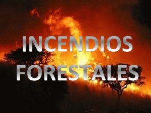 Un incendio forestal es un incendio en el