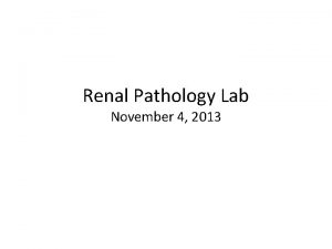 Renal Pathology Lab November 4 2013 Renal Pathology