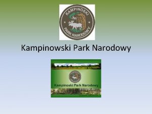 Kampinowski Park Narodowy Kampinowski Park Narodowy to polski