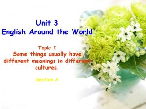 Unit 3 English Around the World Topic 2