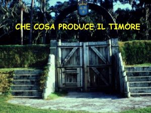 CHE COSA PRODUCE IL TIMORE In un paese