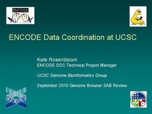 ENCODE Data Coordination at UCSC Kate Rosenbloom ENCODE