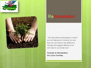 Reforestation The idea behind reforestation is that if