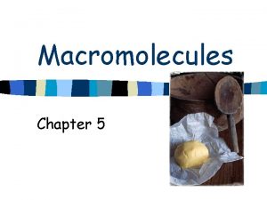 Macromolecules Chapter 5 Macromolecules n Large complex molecules