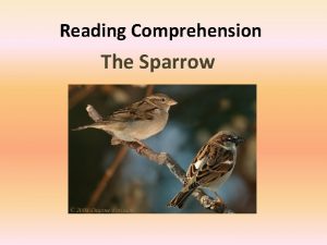 Reading Comprehension The Sparrow Not Jack Sparrow The