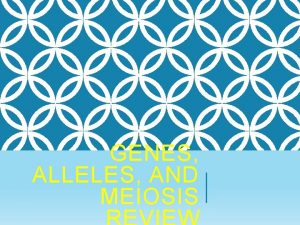 GENES ALLELES AND MEIOSIS GENES the units that