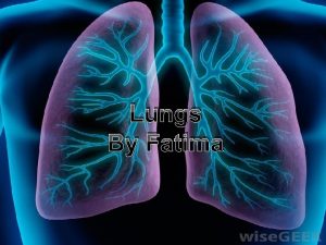 Lungs LUNGS By Fatima fatima Facts How do
