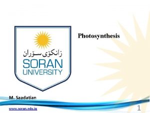 Photosynthesis M Saadatian www soran edu iq 1