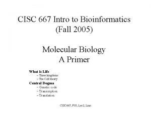 CISC 667 Intro to Bioinformatics Fall 2005 Molecular