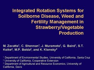 Integrated Rotation Systems for Soilborne Disease Weed and