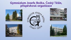 Gymnzium Josefa Boka esk Tn pspvkov organizace Gymnzium