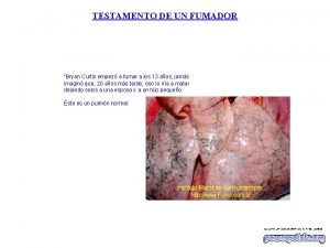 TESTAMENTO DE UN FUMADOR Bryan Curtis empez a