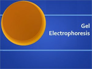 Gel Electrophoresis Gel Electrophoresis a method for separation