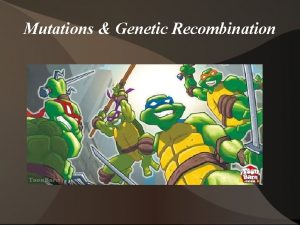 Mutations Genetic Recombination What is a mutation Somatic