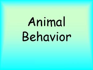 Animal Behavior Elements of Behavior Behavior the way