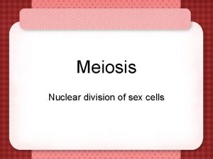 Meiosis Nuclear division of sex cells Meiosis Two