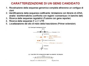 CARATTERIZZAZIONE DI UN GENE CANDIDATO 1 Ricostruzione della