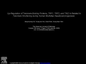 UpRegulation of TelomereBinding Proteins TRF 1 TRF 2