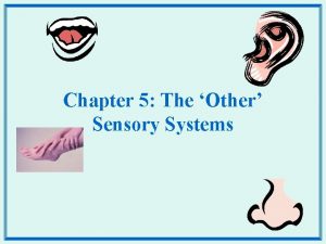 Chapter 5 The Other Sensory Systems Audition Hearing