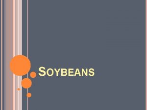 SOYBEANS Why is the demand for soybeans increasing