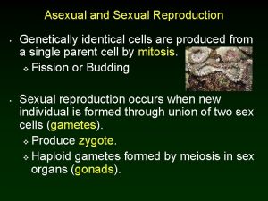 Asexual and Sexual Reproduction Genetically identical cells are