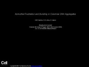 Azimuthal Frustration and Bundling in Columnar DNA Aggregates