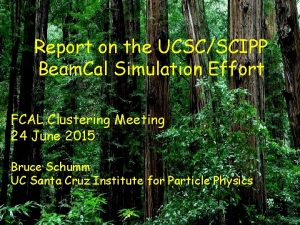 Report on the UCSCSCIPP Beam Cal Simulation Effort