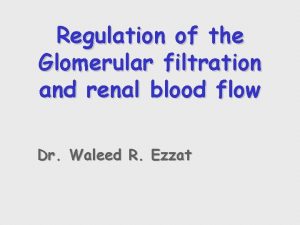 Regulation of the Glomerular filtration and renal blood