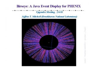 Birseye A Java Event Display for PHENIX Upgrades