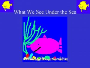 What We See Under the Sea Sea Urchin