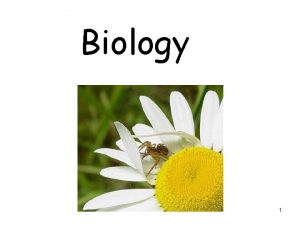 Biology 1 What is Biology Biology is the