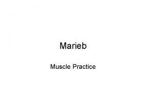 Marieb Muscle Practice 1 RR Orbicularis Oculi 2