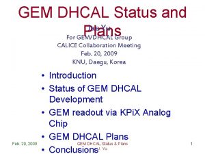GEM DHCAL Status and Jae Yu Plans Group