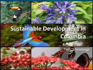 Sustainable Development in Colombia Yudy Artunduaga General facts