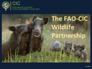 CIC International Council for Game and Wildlife Conservation
