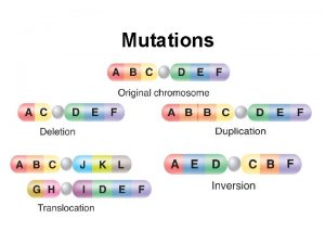Mutations What are mutations Mutations are changes in