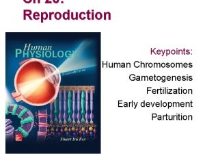 Ch 20 Reproduction Keypoints Human Chromosomes Gametogenesis Fertilization