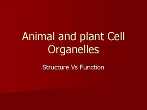 Animal and plant Cell Organelles Structure Vs Function