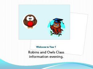 Welcome to Year 1 Robins and Owls Class