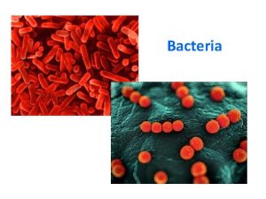 Bacteria Bacteria A Prokaryotic B Eukaryotic C Can