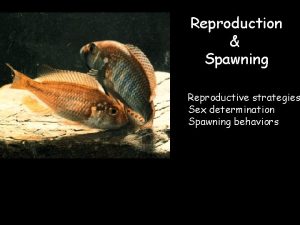 Reproduction Spawning Reproductive strategies Sex determination Spawning behaviors