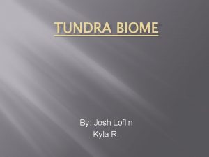 TUNDRA BIOME By Josh Loflin Kyla R Location