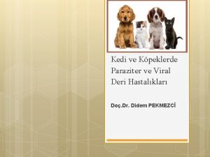 Kedi ve Kpeklerde Paraziter ve Viral Deri Hastalklar