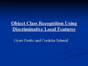 Object Class Recognition Using Discriminative Local Features Gyuri