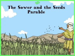 The Sower and the Seeds Parable Jesus had