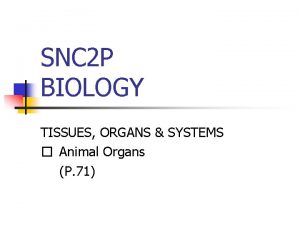 SNC 2 P BIOLOGY TISSUES ORGANS SYSTEMS Animal