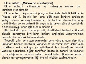 Ekim nbeti Mnavebe Rotasyon Ekim nbeti mnavebe ve