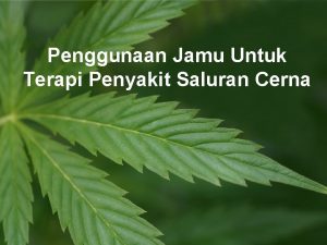 Penggunaan Jamu Untuk Terapi Penyakit Saluran Cerna Formula