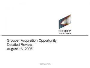 Grouper Acquisition Opportunity Detailed Review August 16 2006